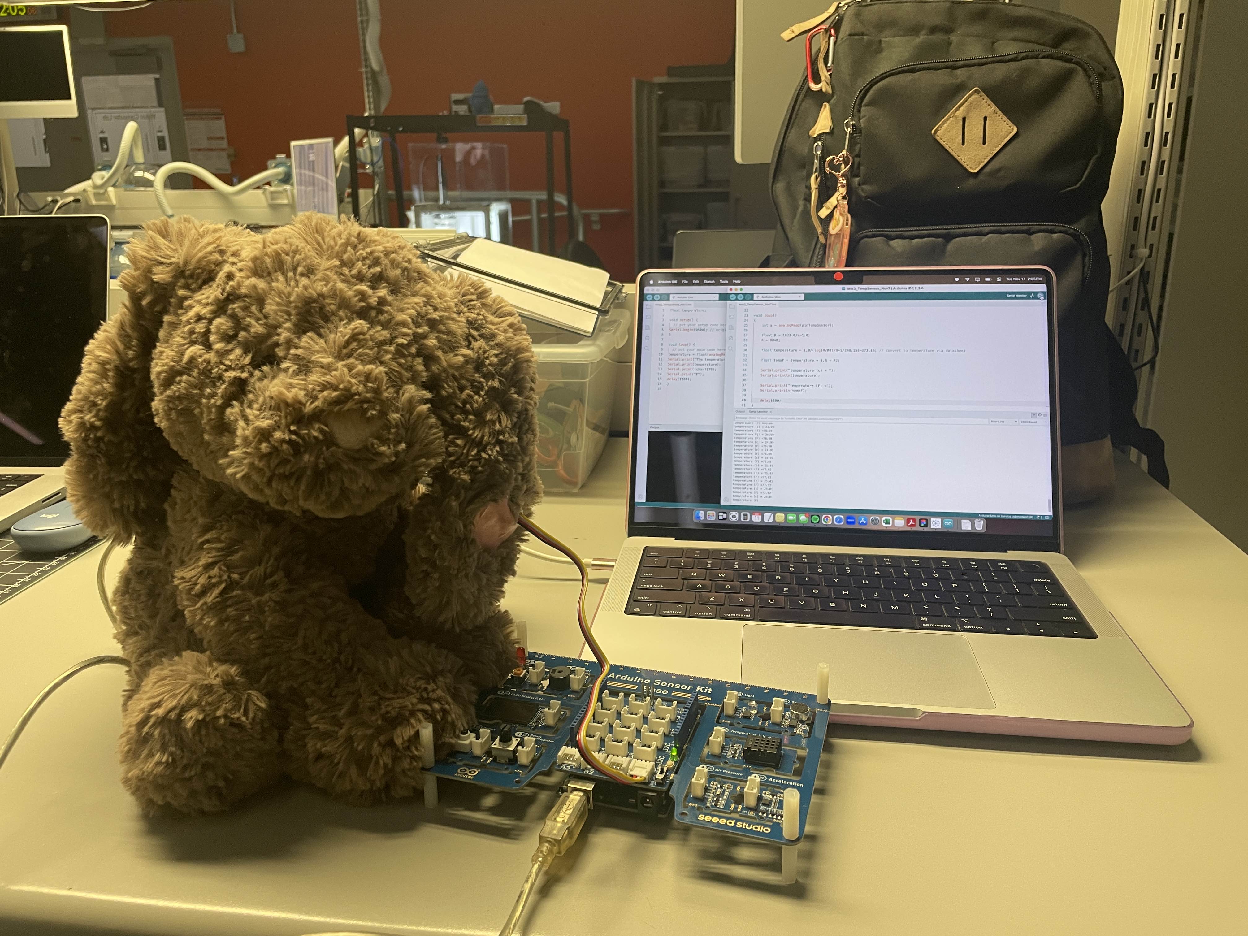 This is an image of our final prototype for project 2. So far we were able to at least integrate the temperature sensor with our chosen test subject, Miffy the cute brown bunny.